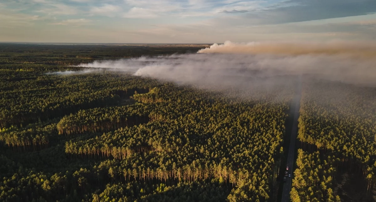Dramat podczas gaszenia lasu. Nie żyje pilot samolotu gaśniczego
