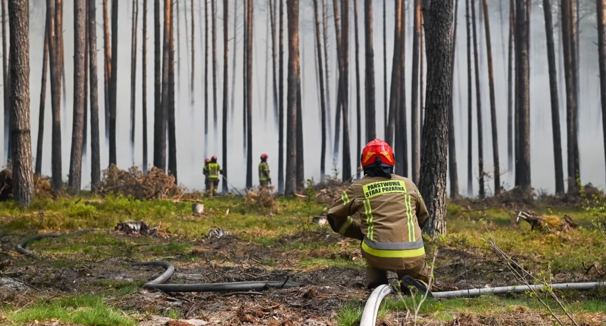 Ogień w Puszczy Solskiej. Setki strażaków walczą z żywiołem