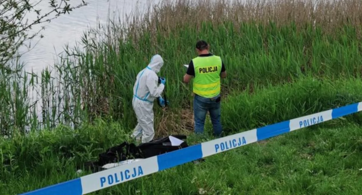 Pies z cegłą u szyi wyłowiony z jeziora. Sprawę bada prokuratura