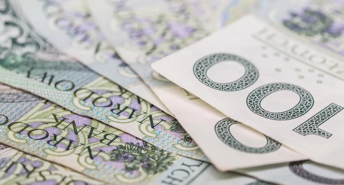 Milion złotych wypadł na ulicę. Znalazca zabrał pieniądze i odjechał