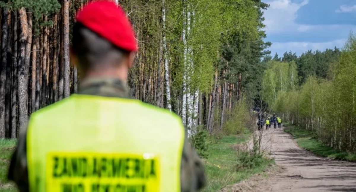Wojskowe skrzynie porzucone w lesie. Żandarmeria ustala, skąd pochodzą