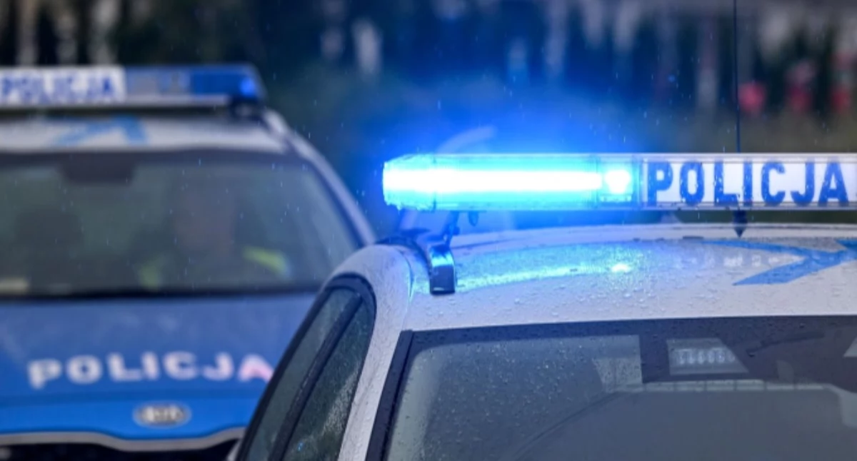 12-latek z siekierą w szkole na Podkarpaciu. Dzieci barykadowały się w klasach