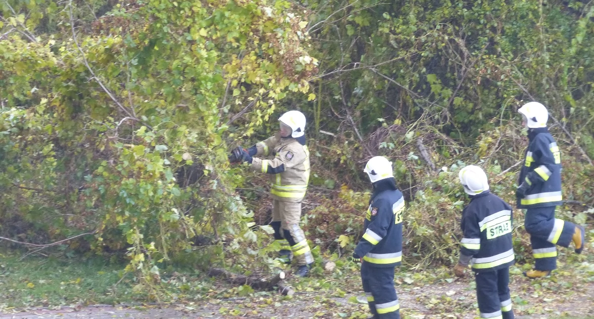 Nawałnice uderzą w Polskę. Możliwy grad, wichury i trąby powietrzne