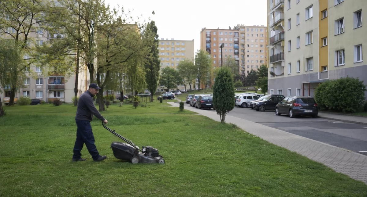 Kosić czy nie kosić? Nowy niuans w dyskusji o miejskiej zieleni