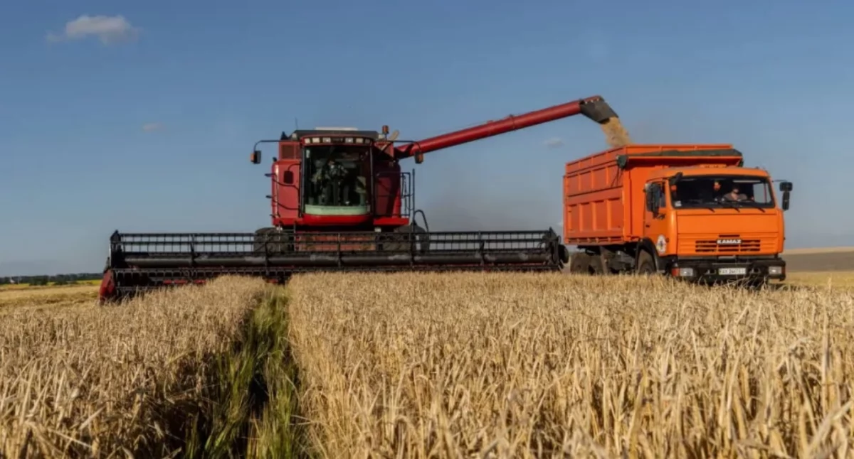 Kombajny ruszają w pola
