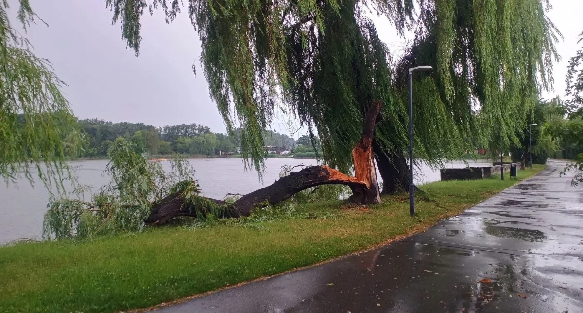Nawałnice uderzyły z pełną siłą. Tysiące interwencji strażaków, zalane miasta i zerwane dachy