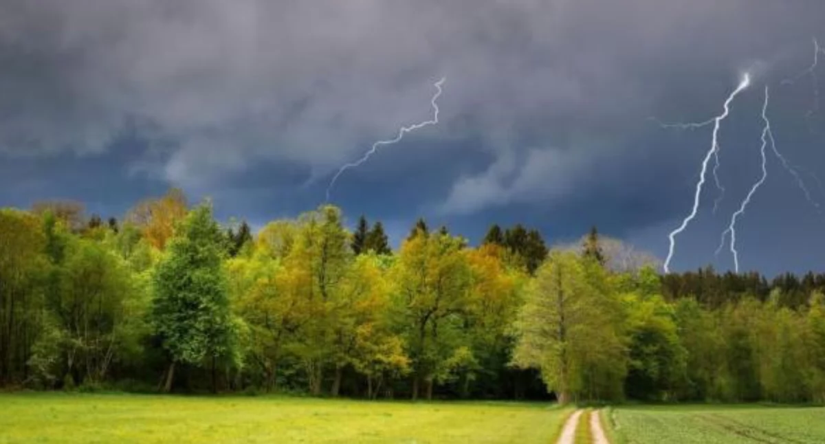 Ponad 1500 zgłoszeń w związku z frontem burzowym