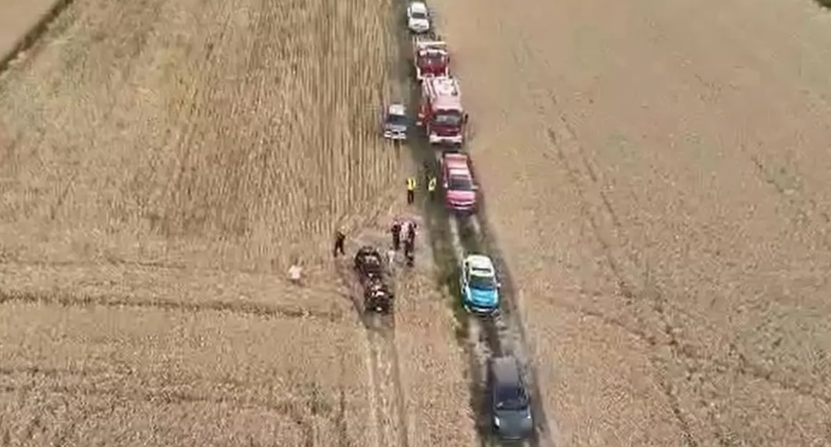 Zaginięcie 3,5-letniego chłopca, który razem z rodzicami wybrał się do lasu
