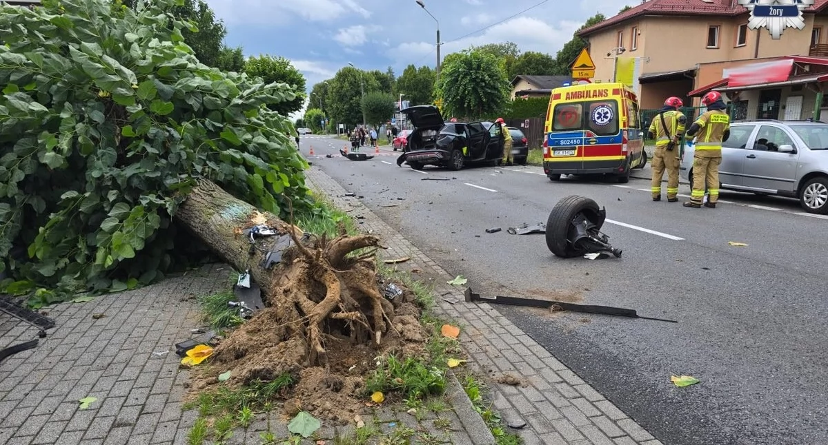 Samochód wyrwał drzewo z korzeniami