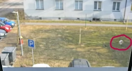 Mógł sięgnąć po krzyżówkę, złapał za broń