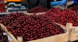 Czereśnie dla bogatych. Ile aktualnie kosztują?