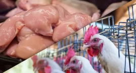 Tanie chińskie mięso podbije Europę? Polscy producenci ostrzegają