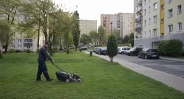 Kosić czy nie kosić? Nowy niuans w dyskusji o miejsk&hellip;