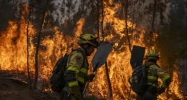 Tragedia w Hiszpanii. Pożar lasu pochłonął życie 12 osób