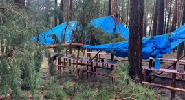 Nawałnice nad Polską. Setki interwencji strażaków