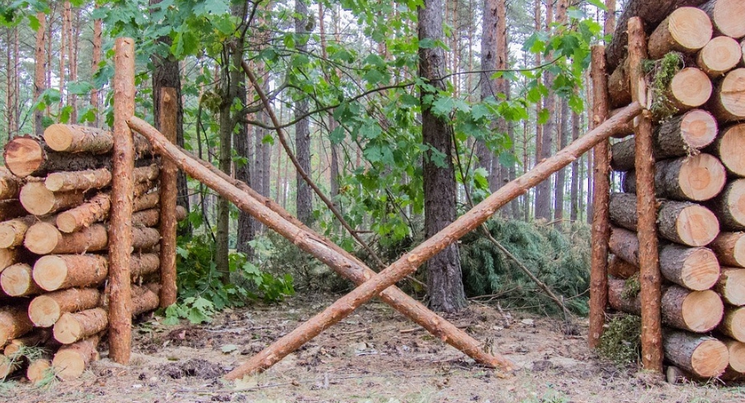 Wycinka w lasach prywatnych: uwaga, ważna informacja dla właścicieli