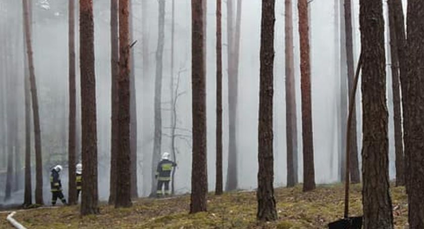 Pożar w Kampinoskim Parku Narodowym