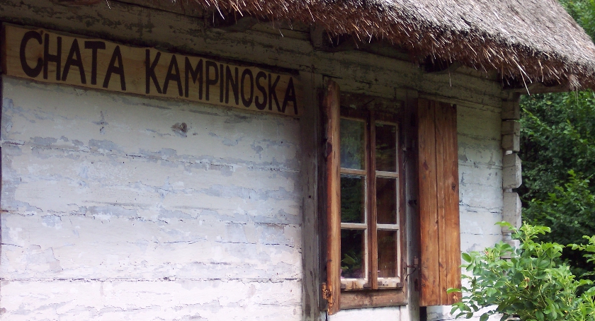 Wpadnij na Dzień Pszczelarza do Chaty Kampinoskiej