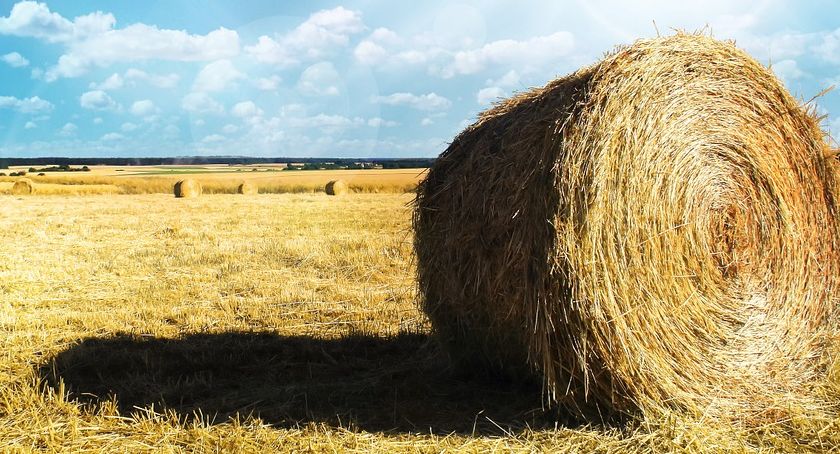 Mieszkańcy Gminy Kampinos nominowani do Plebiscytu MISTRZOWIE AGRO