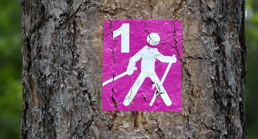 Rajd Nordic Walking z przewodnikiem 