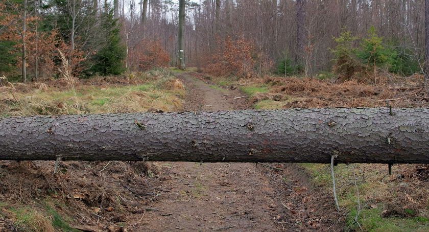 Kampinoski Park Narodowy wprowadza szczególne wytyczne dla turystów 
