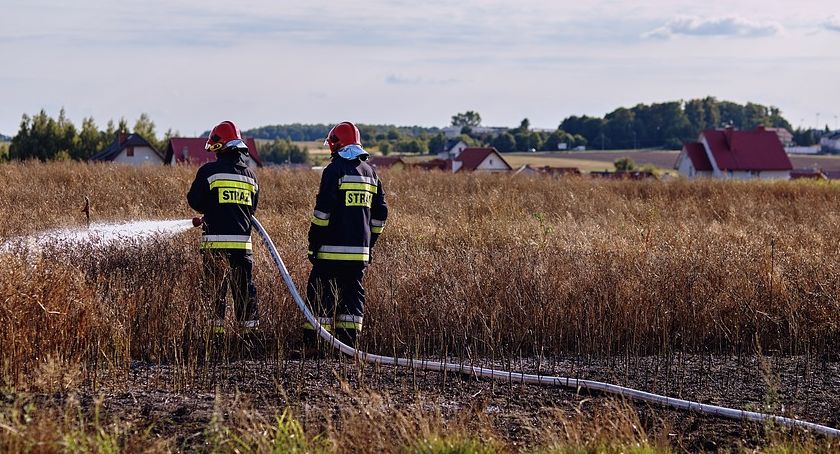 Wypalanie traw grozi utratą dopłat
