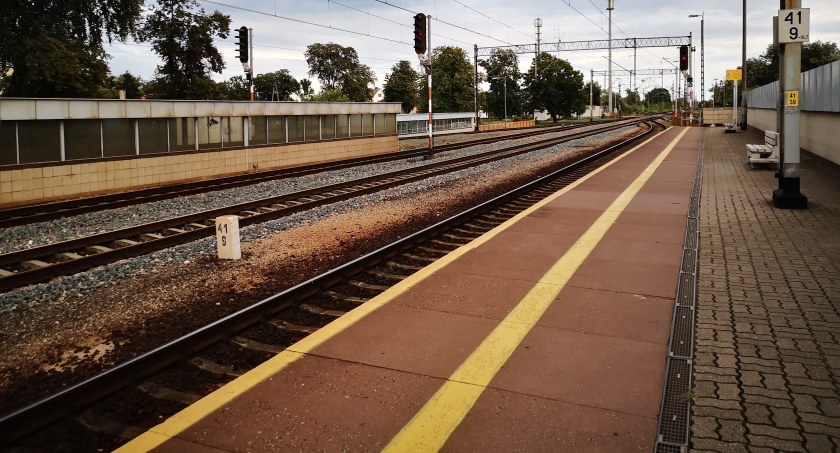 Linia kolejowa CPK przez Kampinos - mieszkańcy z zaproszeniem na spotkanie konsultacyjne