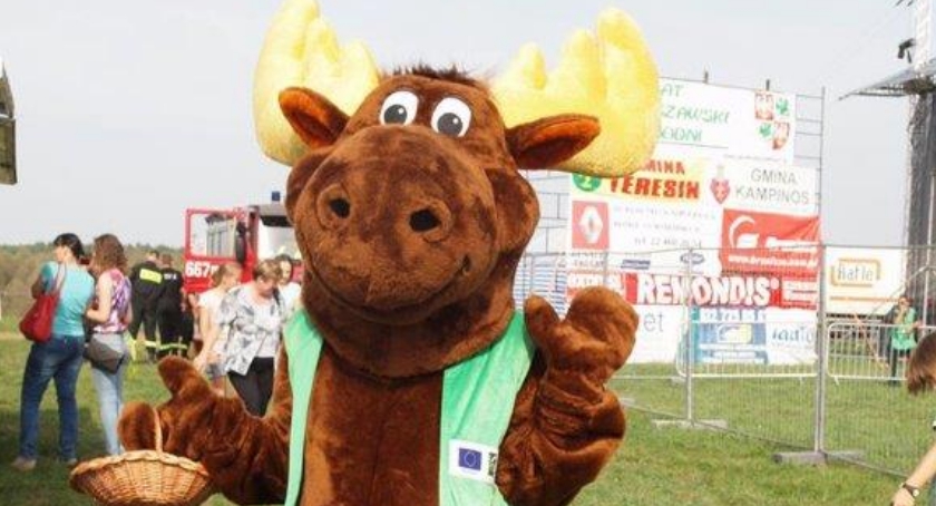 Pluszowy Łoś szuka imienia: Konkurs
