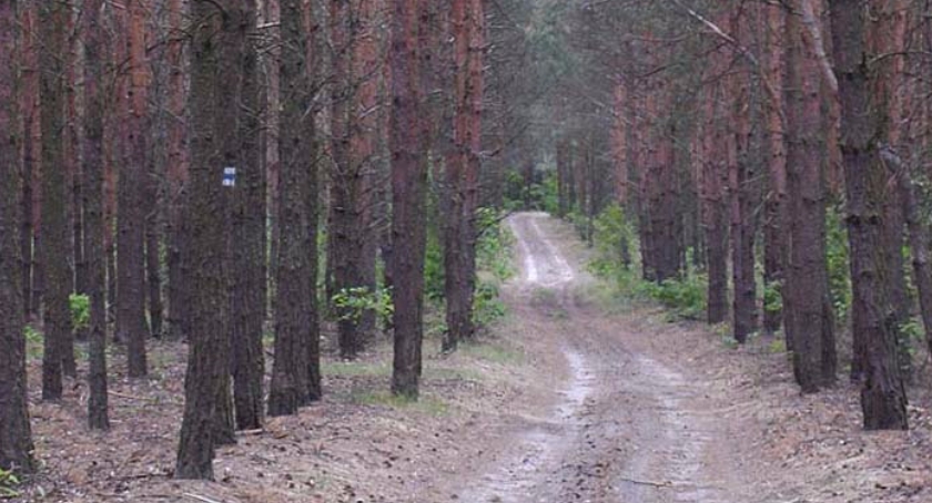 Rowerem w świat puszczy: U TERESY