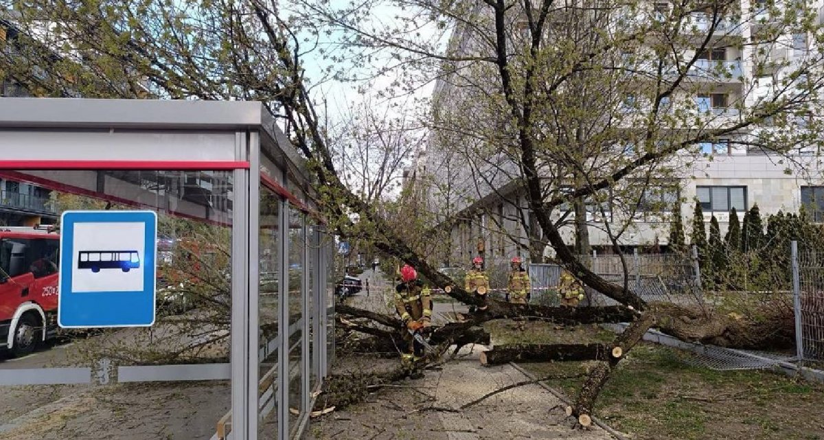 Ponad 1400 zgłoszeń w związku z silnym wiatrem