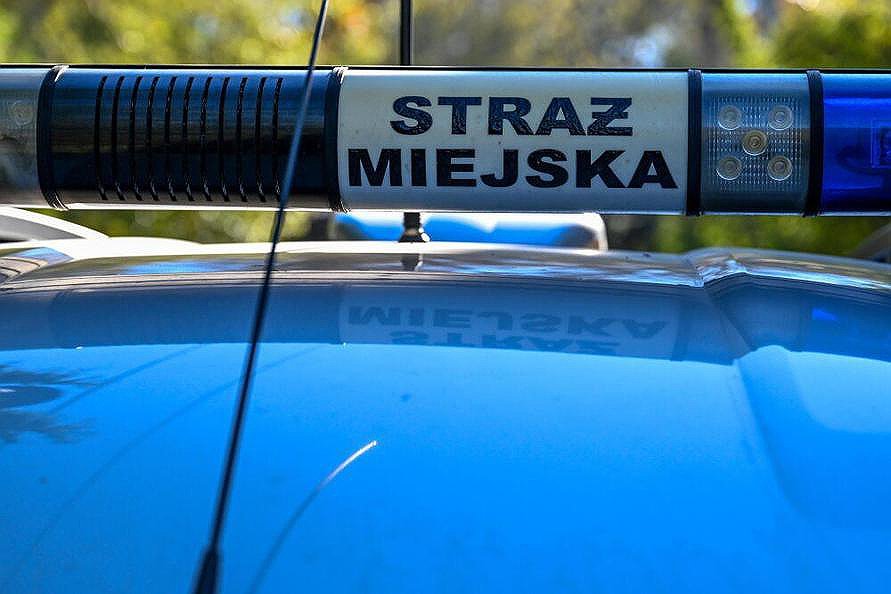 Z grządki na Polu Mokotowskim ogrodniczka wykopała pistolet