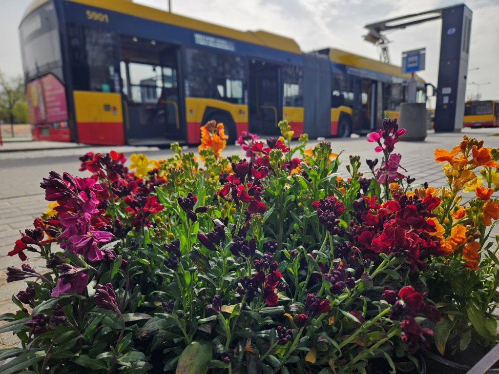 Wiosenne dekoracje na końcu trasy – miły przystanek dla oka