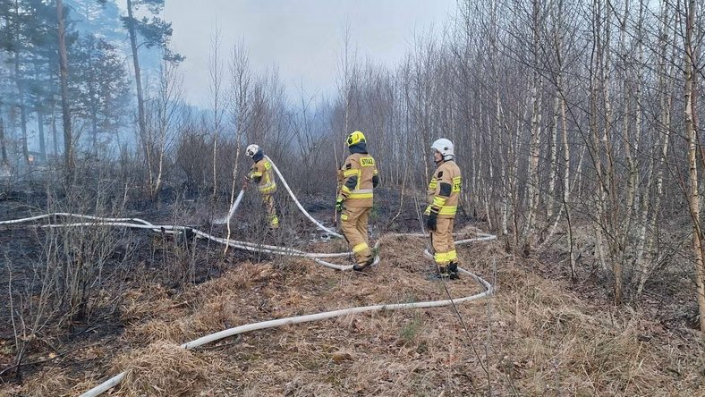 Kolejny pożar na poligonie w Zielonce. Strażacy walczyli z ogniem już drugi dzień z rzędu