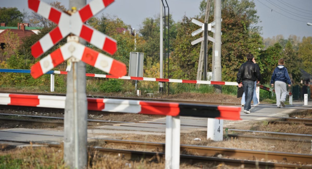 Najdroższe zdjęcie w życiu, dla ukochanej między rogatkami