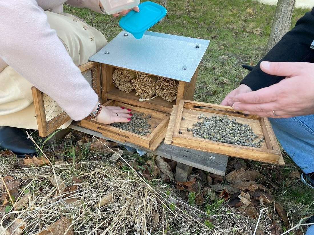 Zwierzęta dobrze czują się na Kabatach