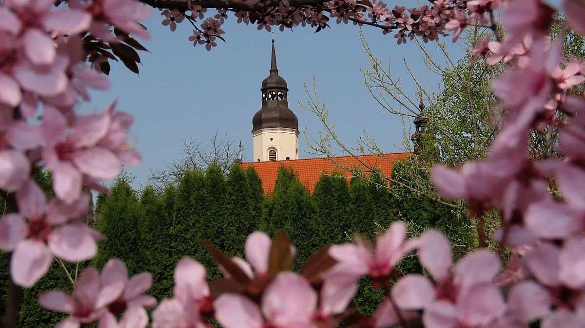 W czwartek rozpocznie się astronomiczna wiosna