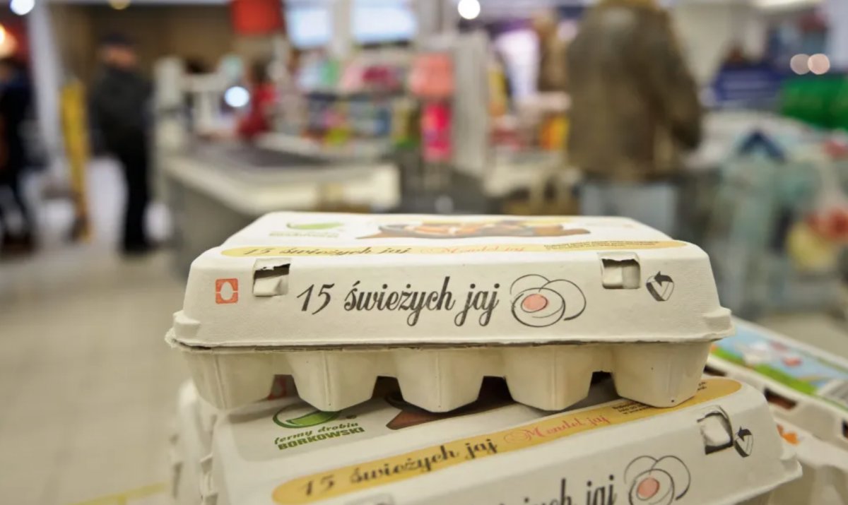 Deficyt jaj z wolnego wybiegu: Co kryje się za zamieszaniem w polskich sklepach?
