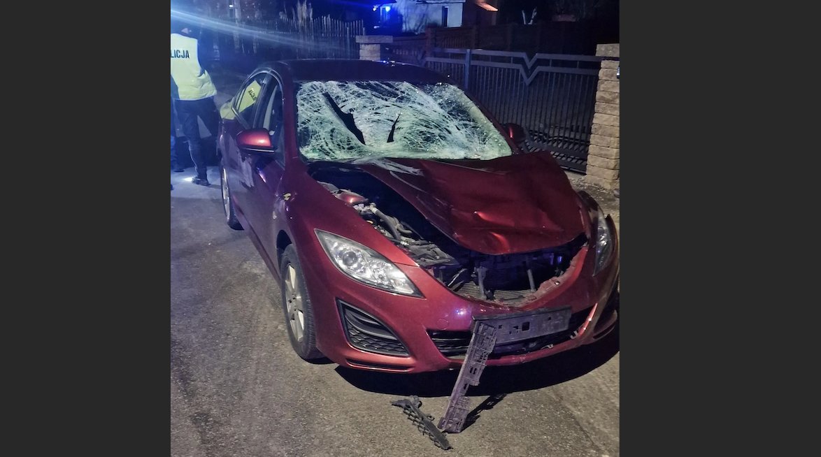 Tragedia na wieczornym spacerze: Proces w sprawie wypadku, w którym zginęła rodzina