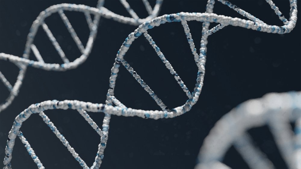 Mikroskopijne silniki napędzają życie – jak obraca się DNA?
