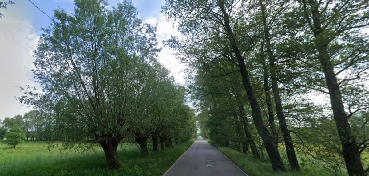 Znikające ślady przeszłości – Kampinoski Park Narodowy planuje kolejne rozbiórki