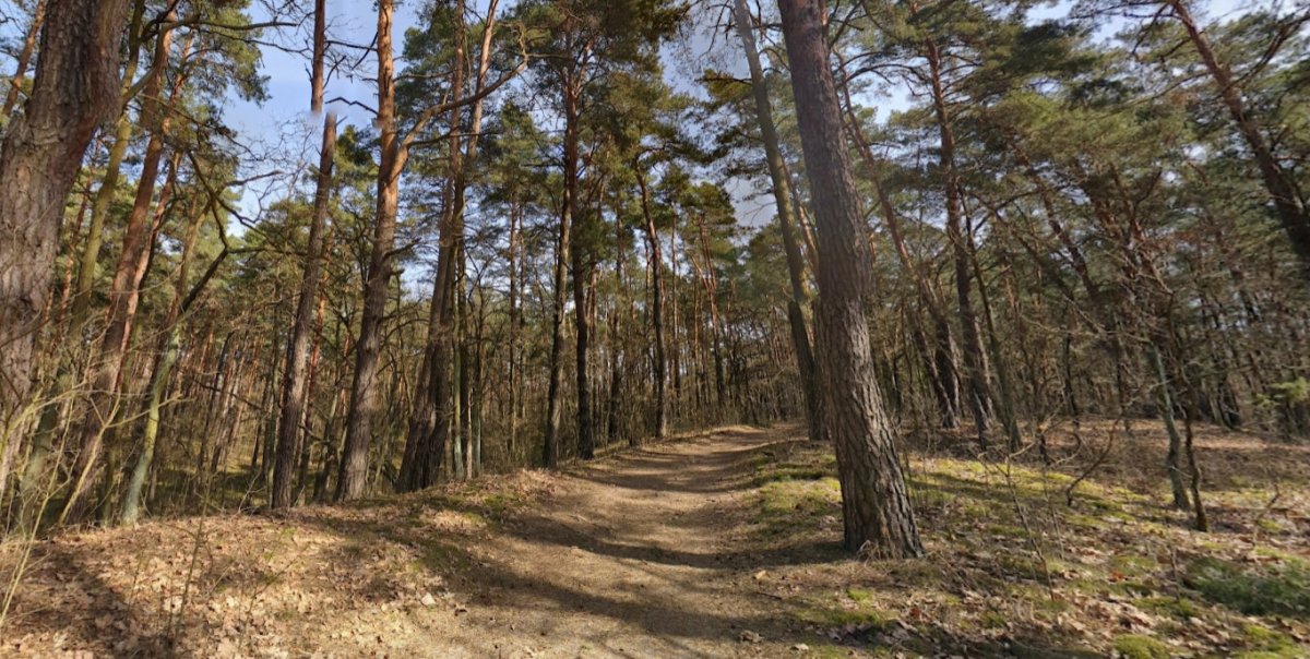 Zwłoki kobiety znalezione na bagnach Kampinoskiego Parku Narodowego