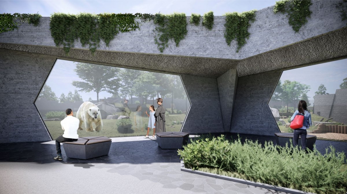 Wielkie zmiany w stołecznym ZOO – powstaje projekt nowego wybiegu dla niedźwiedzi