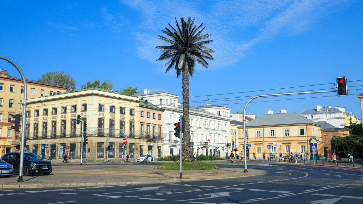 Sztuczna palma, która zakorzeniła się w sercu Warszawy