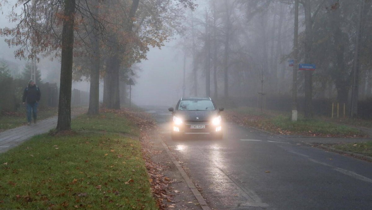 Widoczność ograniczona: mgła spowija Polskę