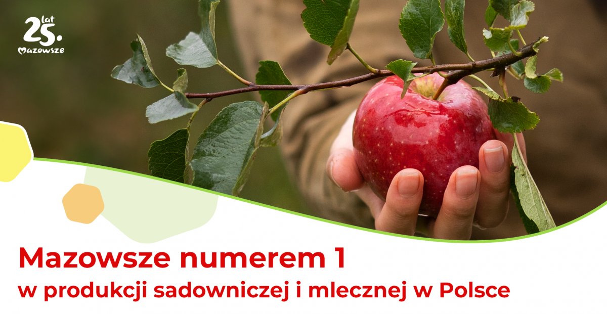 Mazowsze polskim liderem w produkcji sadowniczej i mlecznej
