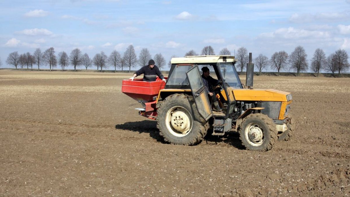 Nawozy ze Wschodu wciąż trafiają do Polski – kto za to odpowiada?