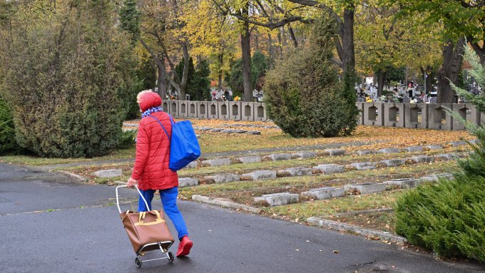 Stołeczne cmentarze online – wyszukiwarka grobów już dostępna
