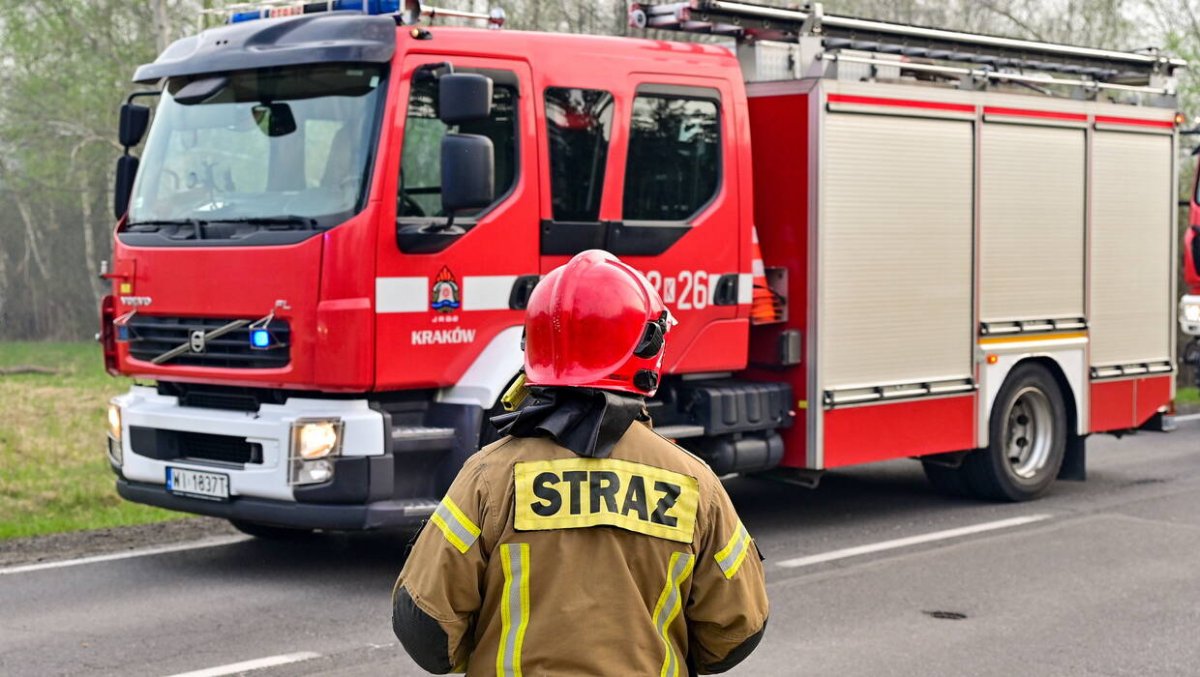 Pod Pionkami znaleziono cały arsenał; 47-latek na celowniku prokuratury