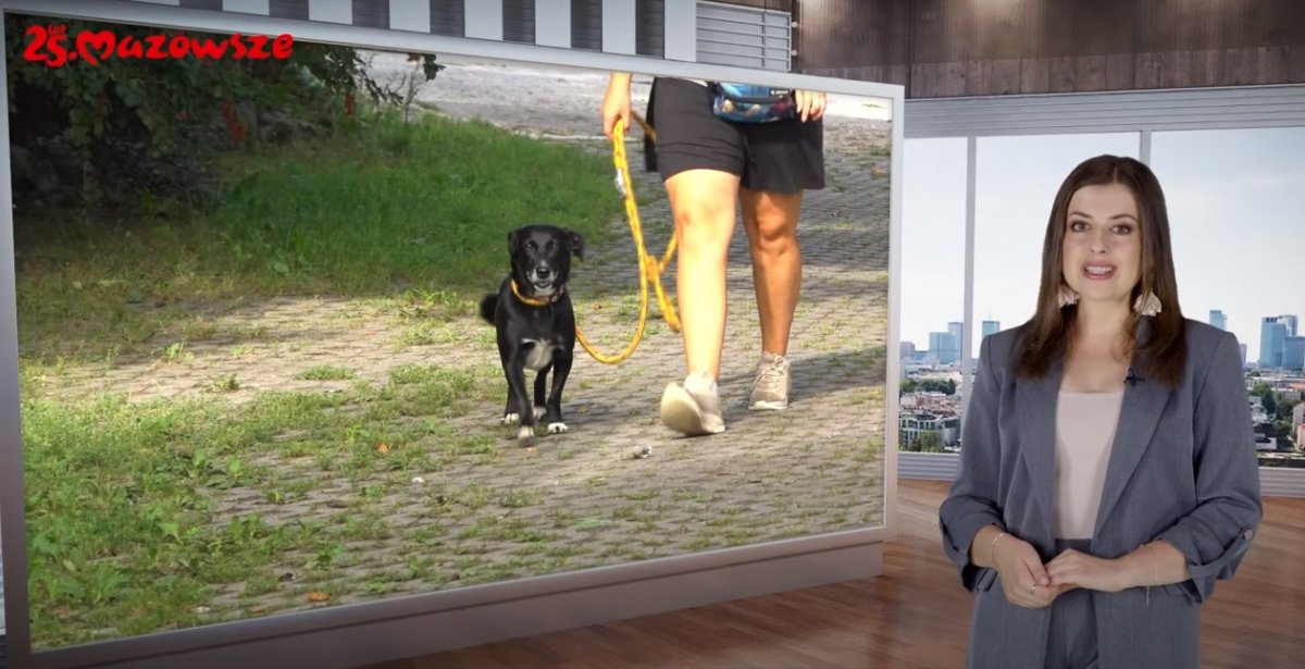 Informacje z Mazowsza 76