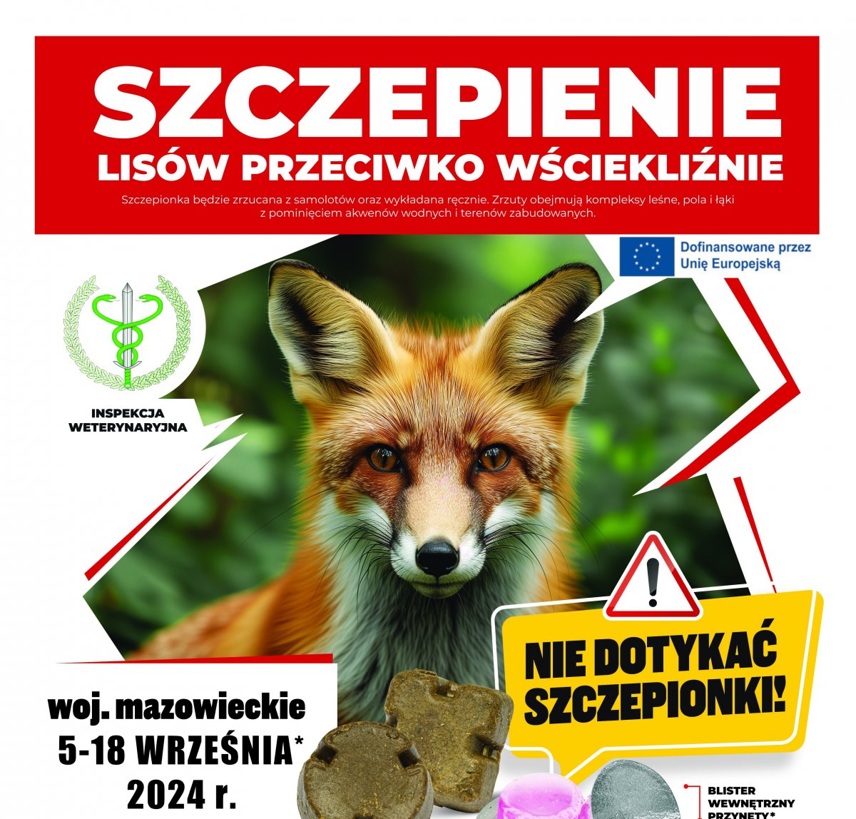 Za kilka dni ruszy jesienne szczepienie lisów